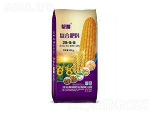 �������25-5-5-�����ҵ
