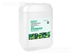vc�����Ǵ���þ-��Դ���