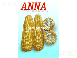 Anna-����������-��ũũҵ