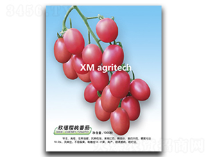����-ӣ�ҷ�������-��ũũҵ