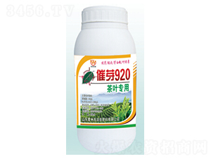 ��Ҷר�ô�ѿ920-�������
