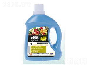 2kg�Ǵ���Ҷ���-�������