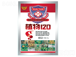 ֲ��120-�������
