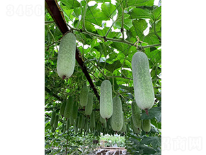 ����8824-�ڹ�����-��������
