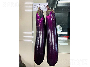 ����10��-��������-��������