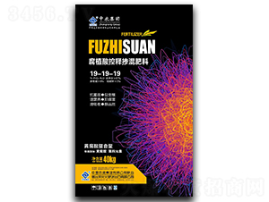 ��ֲ����Ͳ������19-19-19-��ũ-��ũũҵ