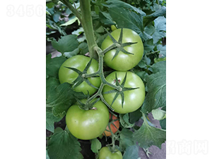 �Ƕ�311-��������-�ѷ���ҵ