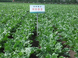 H003-�������-�ѷ���ҵ