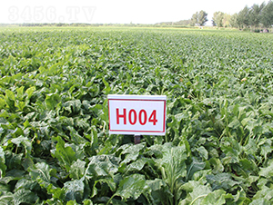H004-�������-�ѷ���ҵ