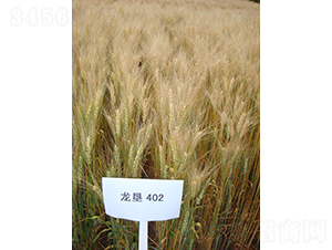 ����402-С������-�ѷ���ҵ