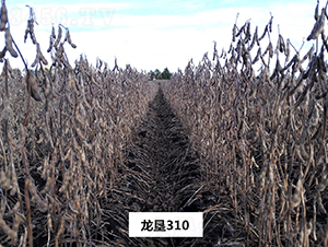 ����310-������-�ѷ���ҵ