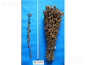 �Ѷ�94-������-�ѷ���ҵ
