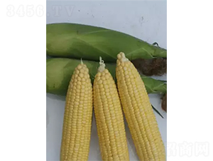 ������818-��������-��������