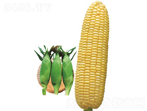 ������809-��������-��������