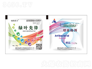 ��Ҷ�ȷ溬������ˮ�ܷ���+������������Ч����-�̿�����