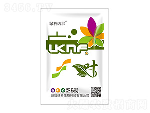 500g��װҶ-�̿�����