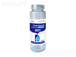 200ml�Ǵ���-�̿�ŵ��-�̿�����