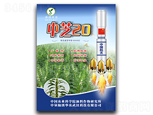 ��֥20-֥������-��ũ��