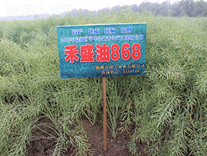��ʢ��868-�Ͳ�����-��ũ��