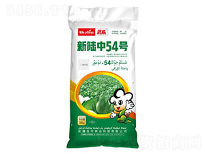 ��½��54��-�޻�����-ʥ����ҵ