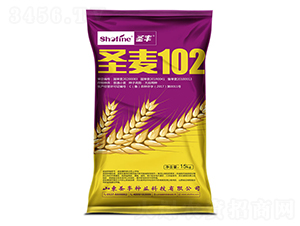 ʥ��102-С������-ʥ����ҵ