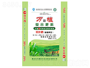 ��Ҷר���л����ﳤЧ���Ϸ�15-5-10-��ֲ1��
