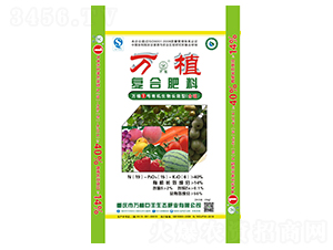 �л����ﳤЧ�͸��Ϸ���19-15-6-��ֲ1��