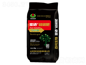 10�ڸ�����̼��-�ٻ�����