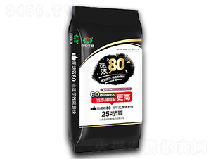 ��Ч80΢�������-�ٻ�����