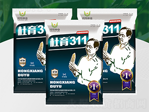 ����311-��������-������ҵ