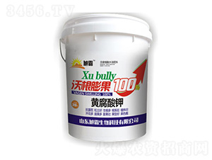�Ƹ�����ָ����100-�������