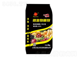 40kg΢�������-��ũ����-��������