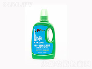 550ml��Ҷֲ��Ӫ��Һ-��ũʢԴ