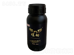 200ml����FT-�ļ���̬