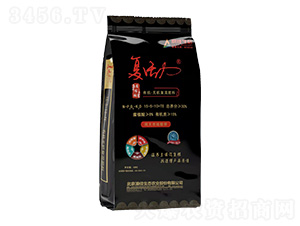 �л��޻��������15-5-10+TE-������-�ļ���̬
