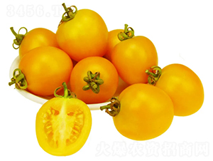 �ǻ�-С��������-��������