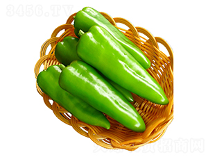 �λ�-������-��������