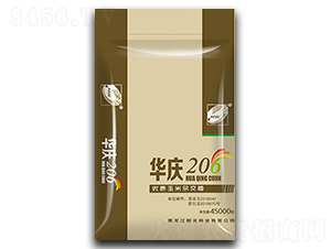 ����206-��������-������ҵ