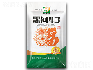 �ں�43-������-������ҵ