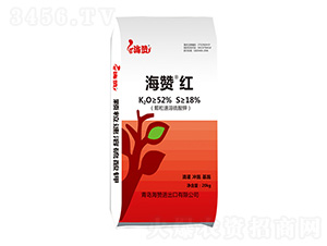 �������������-���ޡ���-����