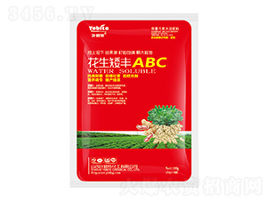 ��������ABC-Ҷ����
