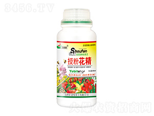 500ml�ڷۻ���-Ҷ����