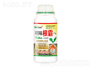 1000ml�������-Ҷ����