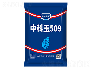 �п���509-��������-������ҵ