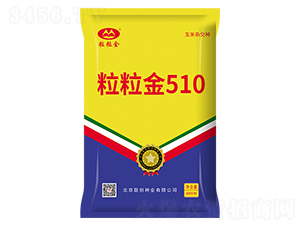 ������510-��������-������ҵ