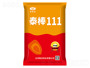 ̩��111-��������-������ҵ