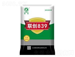 ����839-��������-������ҵ