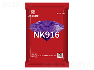 NK916-��������-������ҵ