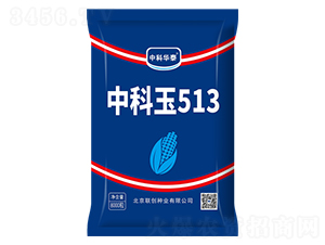 �п���513-��������-������ҵ