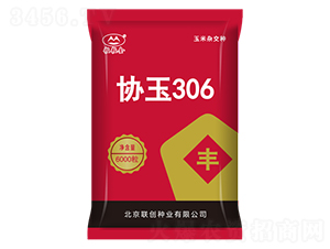 Э��306-��������-������ҵ